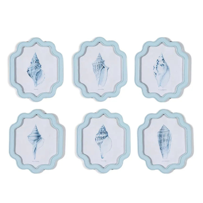 Shell Wall Art
