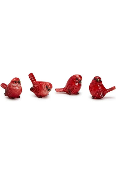 Red Cardinal Birds