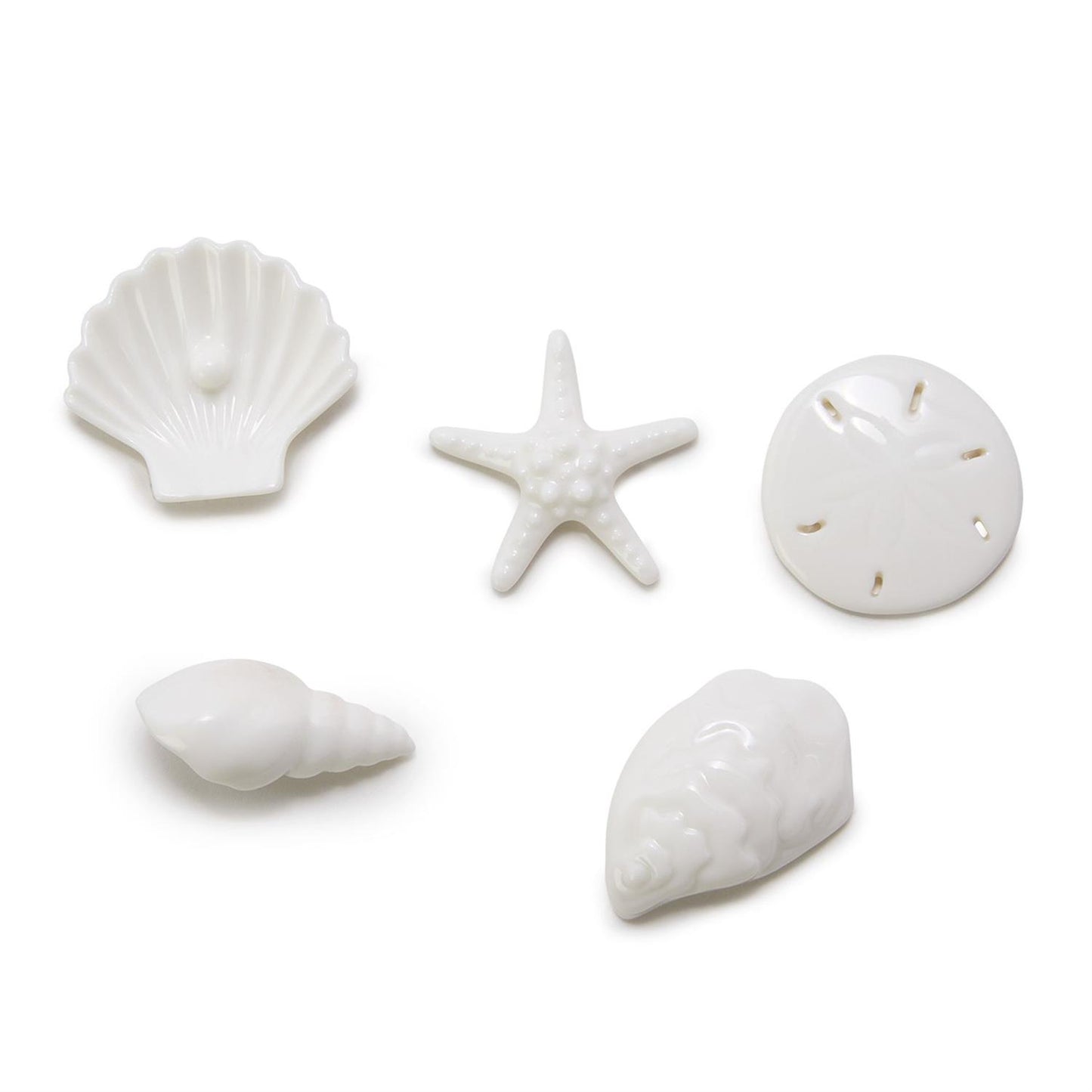 Shell Figurine in Matchbox