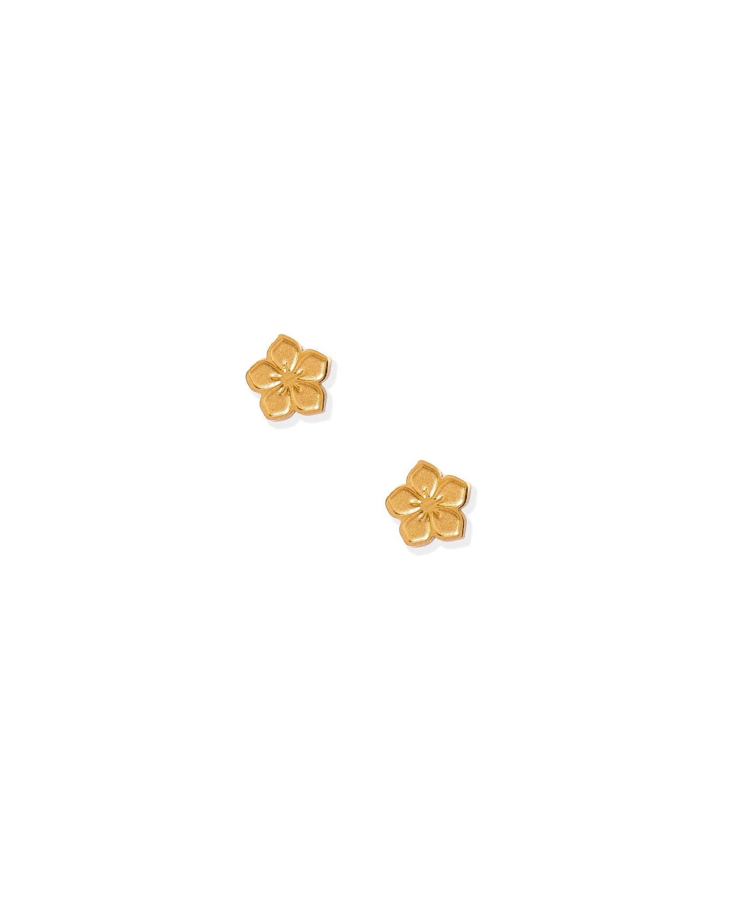 Screwback Stud Earrings - Hibiscus